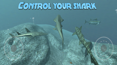 Real Shark Simulatorのおすすめ画像1