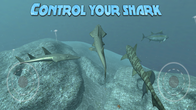 Real Shark Simulator Screenshot