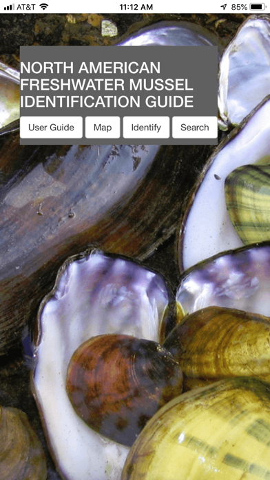 MusselID Screenshot