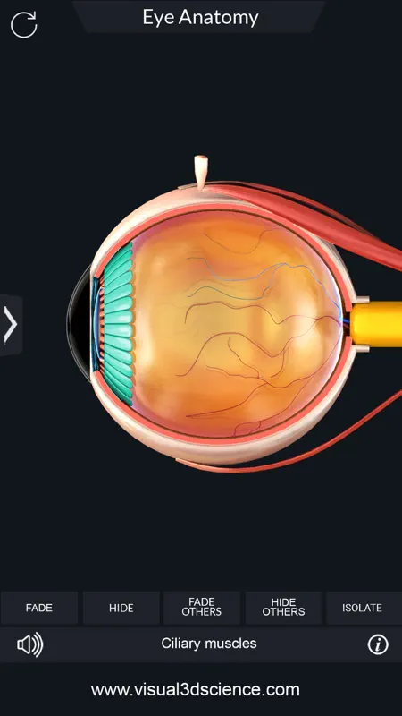 My Eye Anatomy screenshot 5 of 8