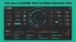How to cancel & delete enso looper 2