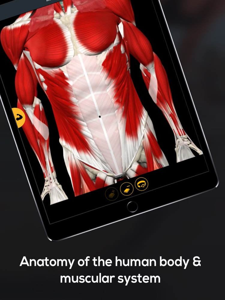 Anatomy by Muscle & Motion App for iPhone - Free Download Anatomy by