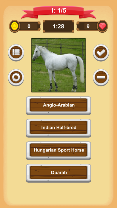 Horse Quiz Screenshot