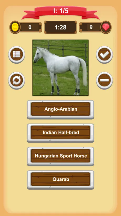 Horse Quiz