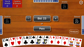 Pinochle Classic screenshot