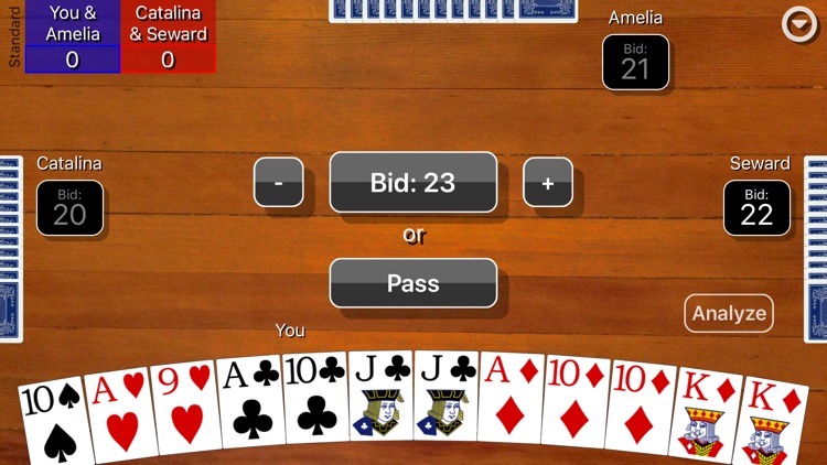 Pinochle Classic screenshot-3