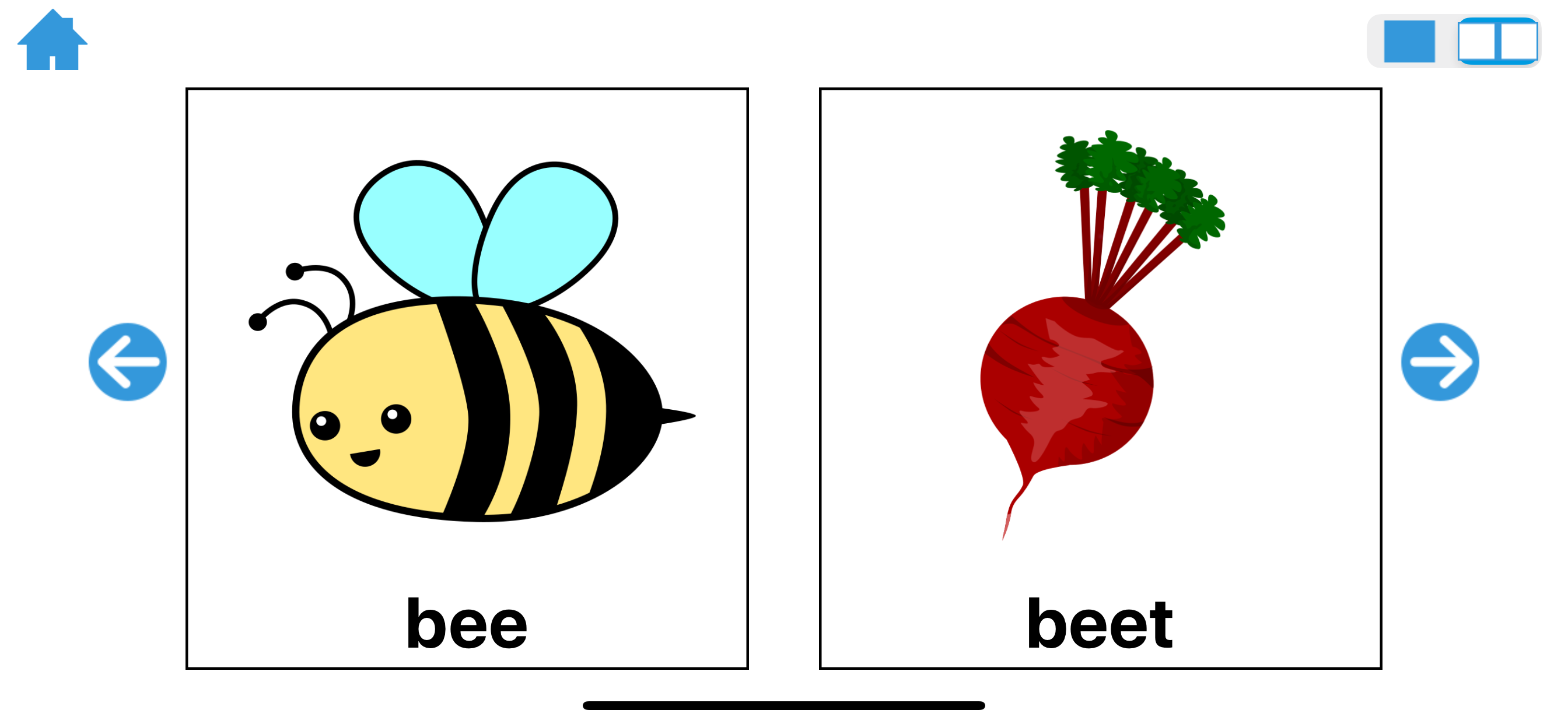 Minimal Pairs/Final Consonants
