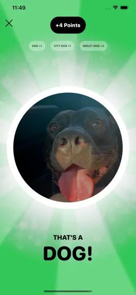 Game screenshot Izit Dog? apk
