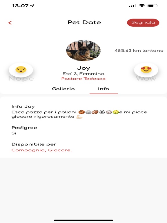 Screenshot #6 pour Petdate