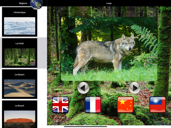 Screenshot #4 pour Animals Home