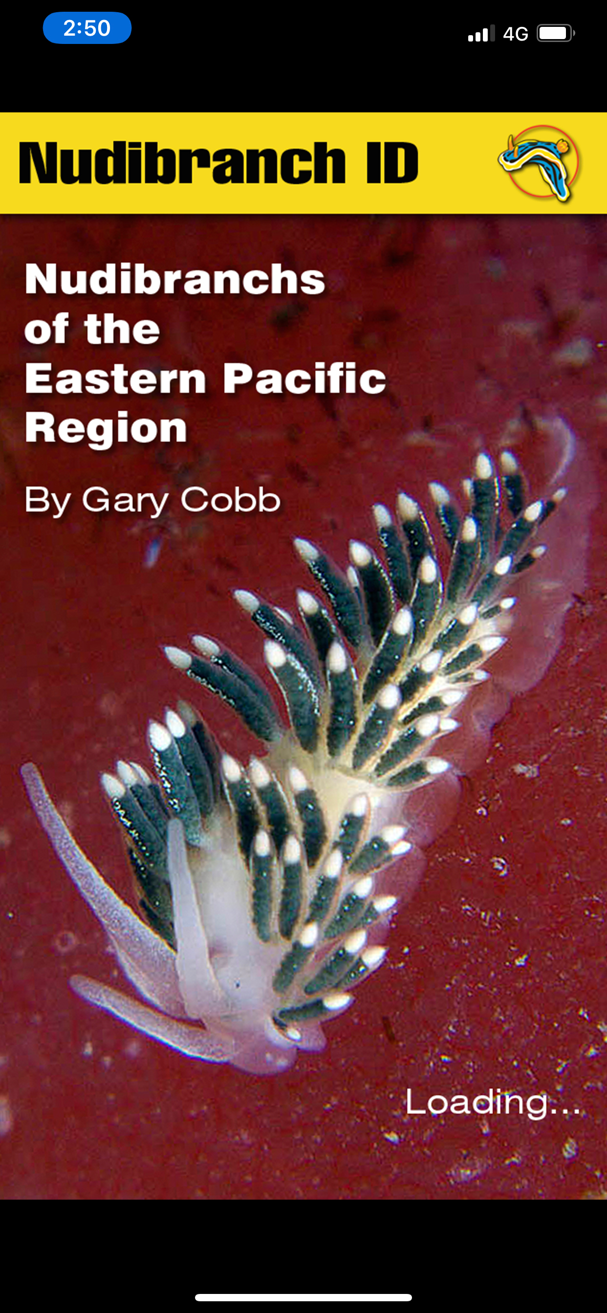 Nudibranch ID Eastern Pacific