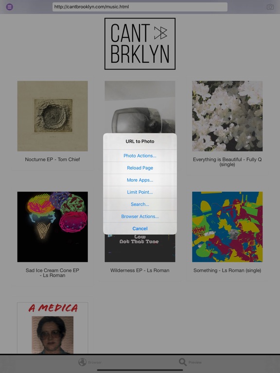 URL to Photo iPad screenshot