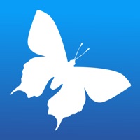 Insekten Sachsen app funktioniert nicht? Probleme und Störung