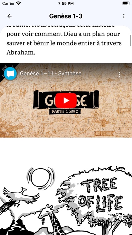 Bible Strong: Learn and Study