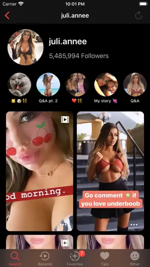 Story Reposter iPhone Ekran Görüntüsü 9