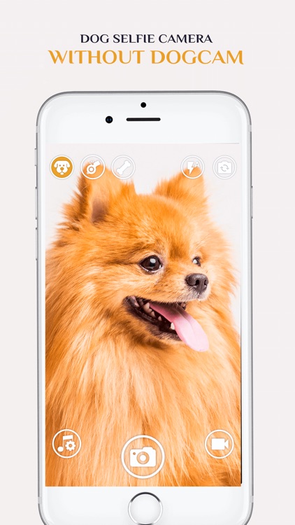 Dog Selfie Camera