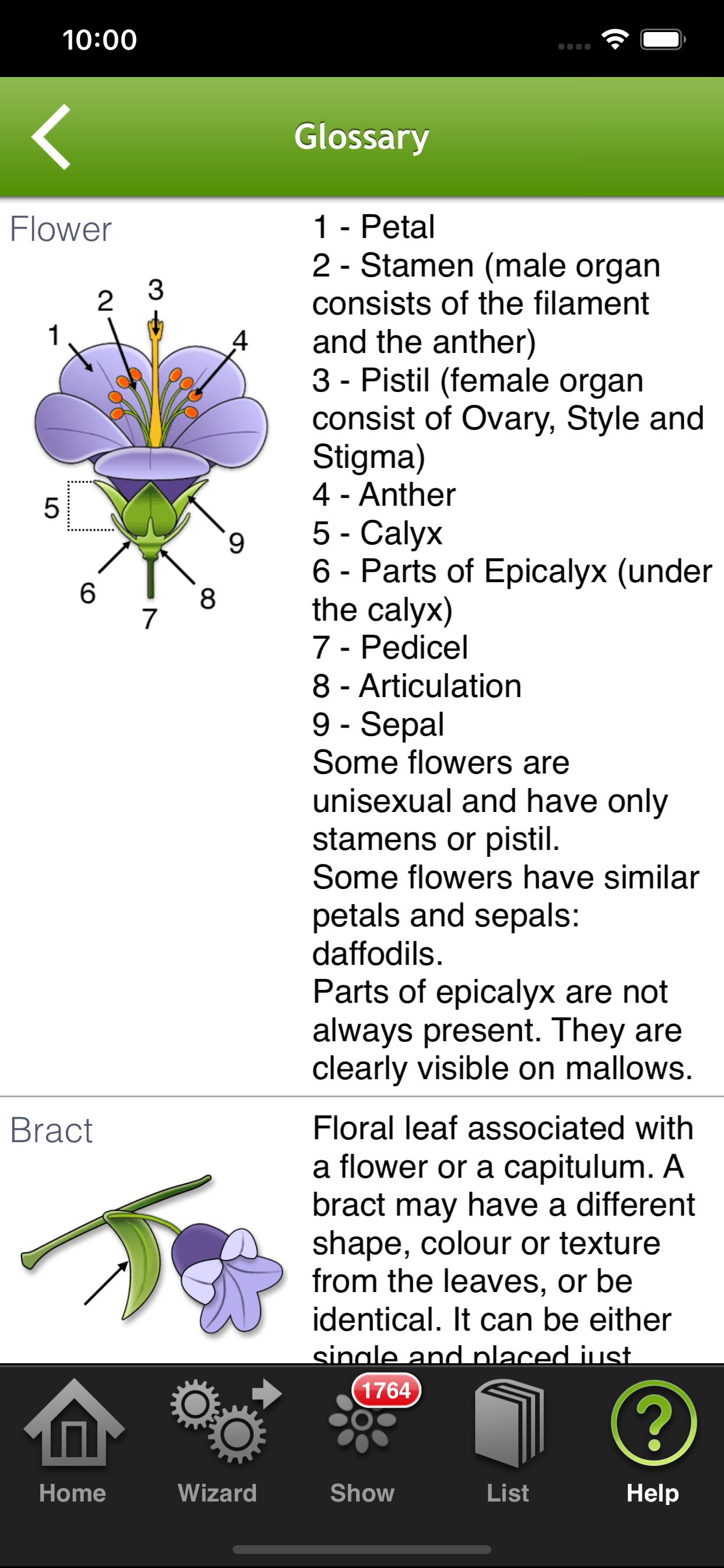 Wild-flowers screenshot 7