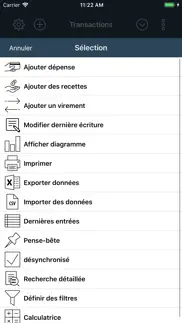 mon livre de budget iPhone Captures Décran 4