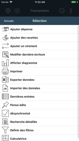Capture d'écran de My Budget Book sur iPhone 4