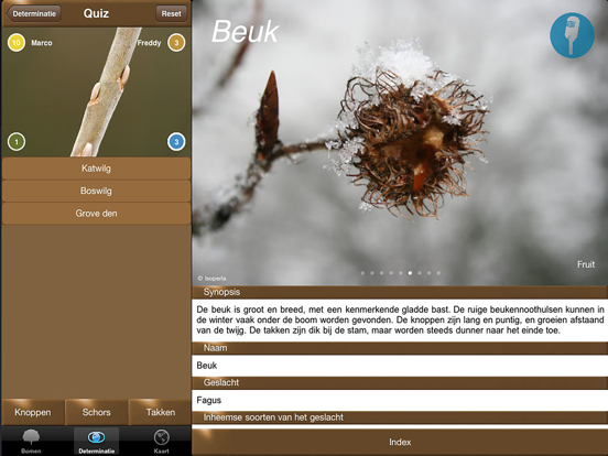 Winter Boom Id iPad app afbeelding 5