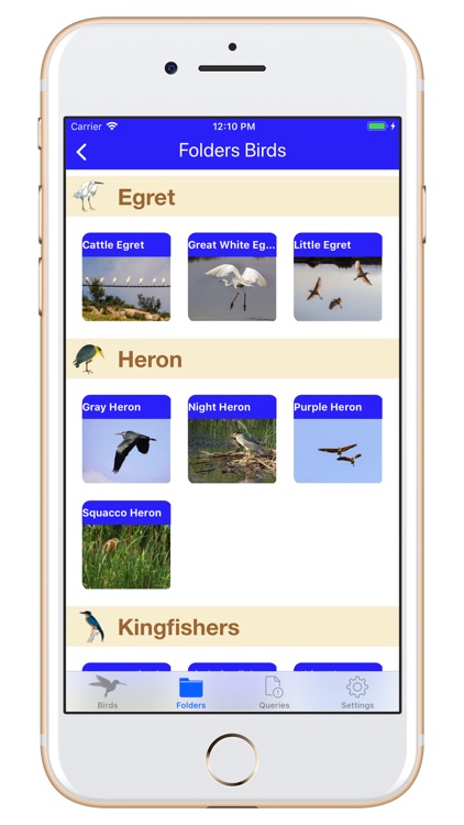 Birds of Jordan H screenshot-5