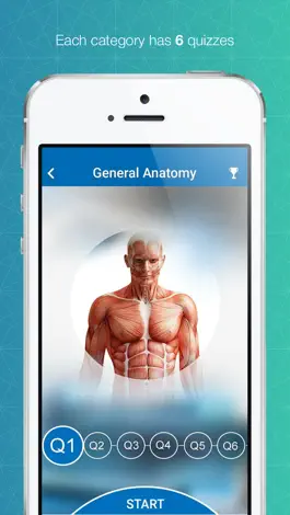 Game screenshot Chiro Board Review apk
