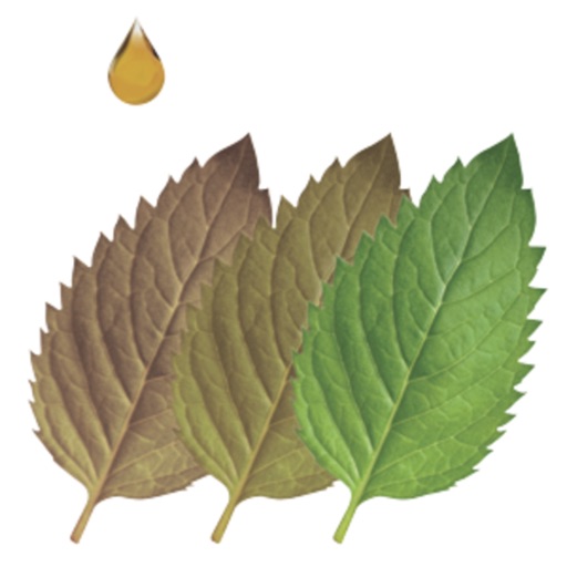 Practical Approach Pediatrics