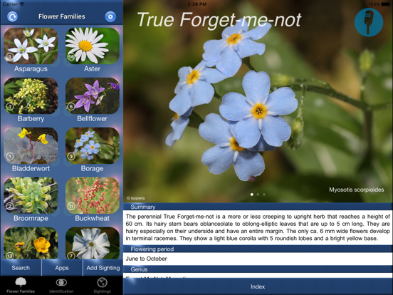 Wildflower Id Usa Photo Recog App