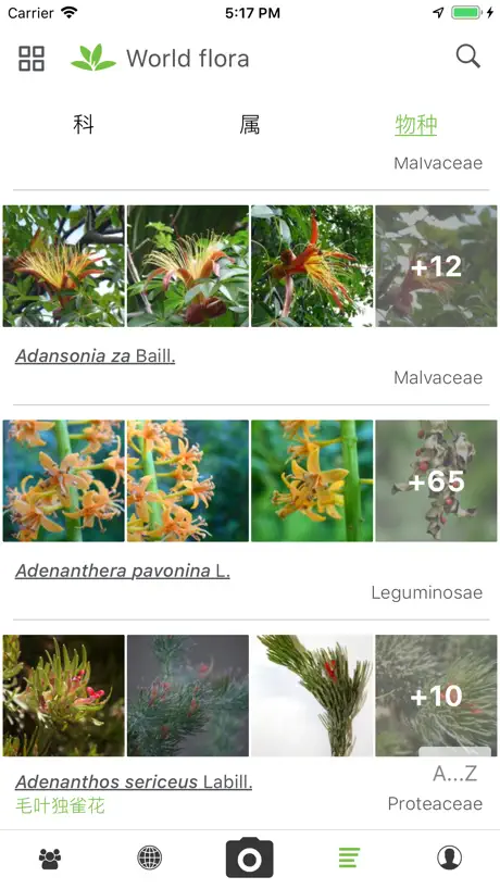 植物识别 PlantNet