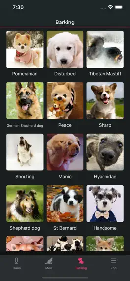 Game screenshot Pet translator - Cat&Dog hack