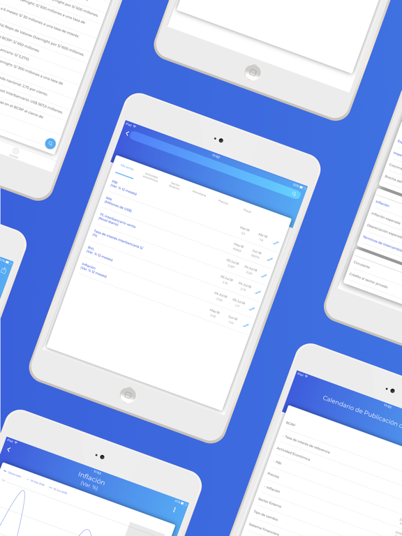 Screenshot #5 pour BCRPData