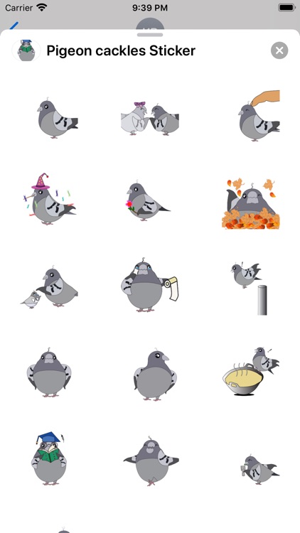 Pigeon cackles Sticker