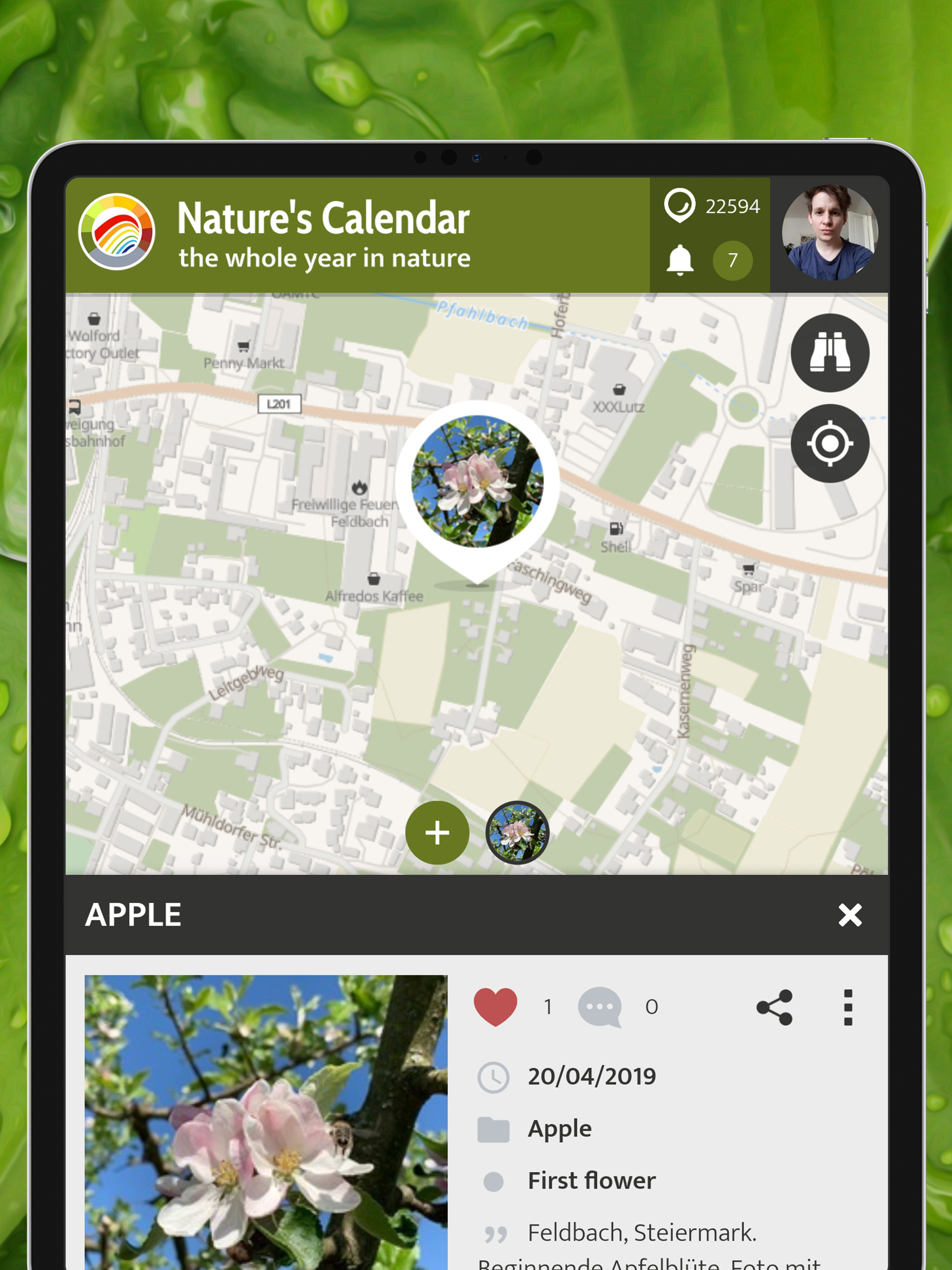 Nature's Calendar
