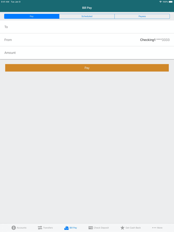Horizon CU Mobile Banking iPad screenshot 5 - Finance app