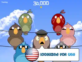 Game screenshot Feather Squadron: USA mod apk