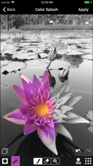 Screenshot von ACDSee auf dem iPhone 3