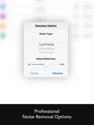 Denoise Audio - Remove Noise ipad bilder 2