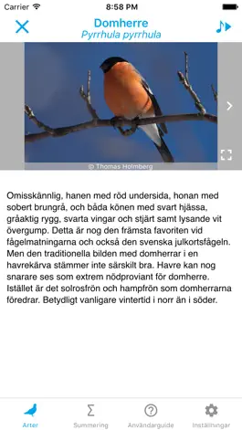 Game screenshot Vinterfåglar Inpå knuten. apk
