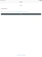 syf envision ipad images 2
