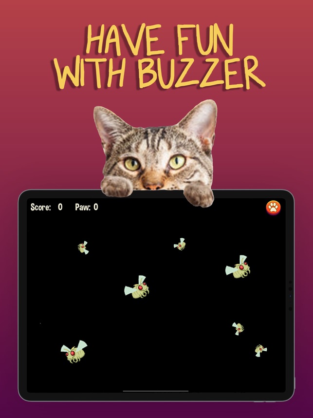 Kočičí hry v App Storu