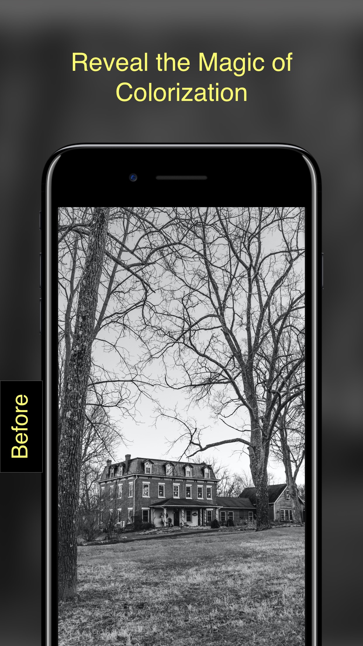 Screenshot do app Pholorize: Colorize Old Photo