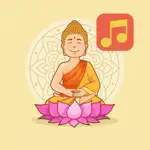 Relaxing Music Zen Meditation App Problems