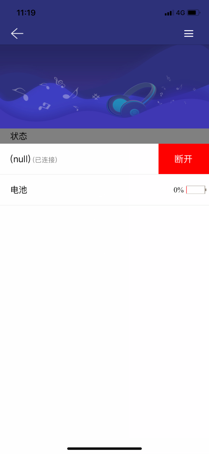 Realtek Audio Connect
