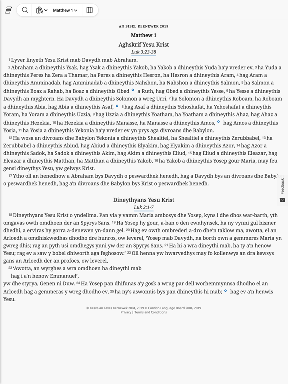 Screenshot #5 pour Bibel Sans