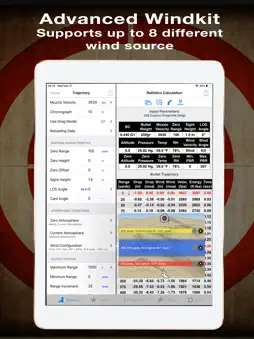 Ballistic: iPad Edition screenshot 7
