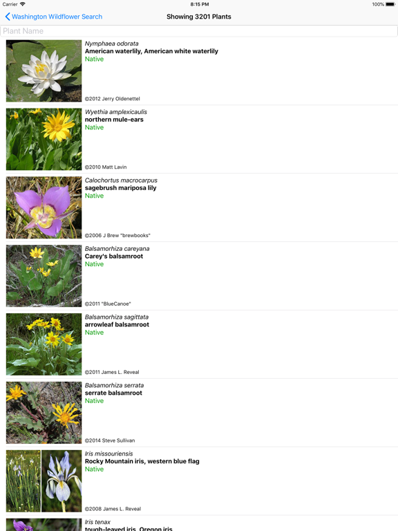 Screenshot #5 pour Washington Wildflower Search