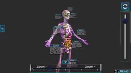 Game screenshot Human anatomy system & parts apk