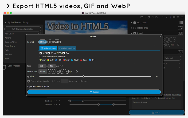 liquivid Video to HTML5 screenshot 4