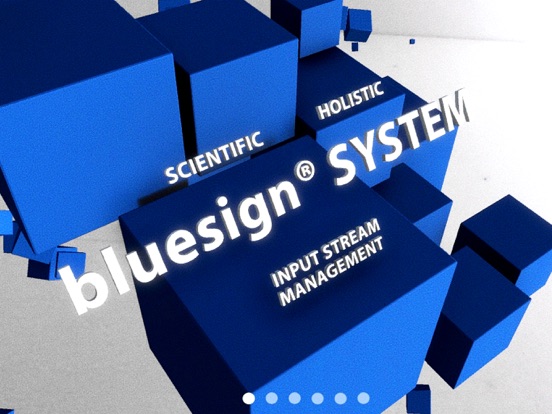 BLUESIGN AR app screenshot 3