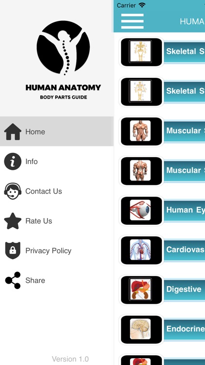 Human Anatomy Body Parts Guide